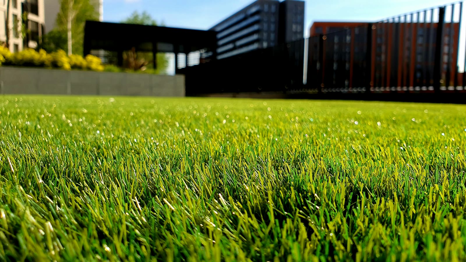 Even green lawn used as the after sample