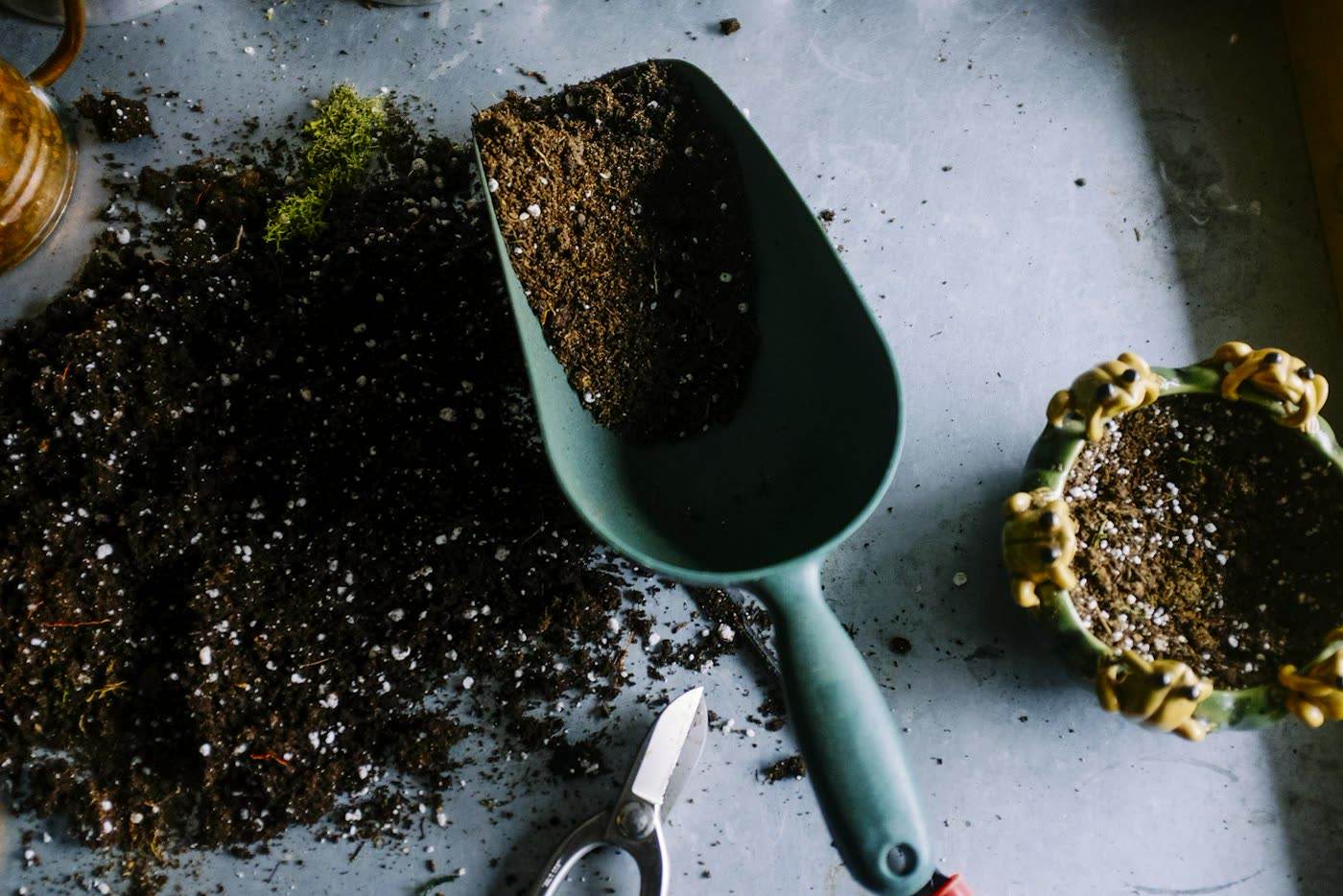 Person tending plants in a garden bed